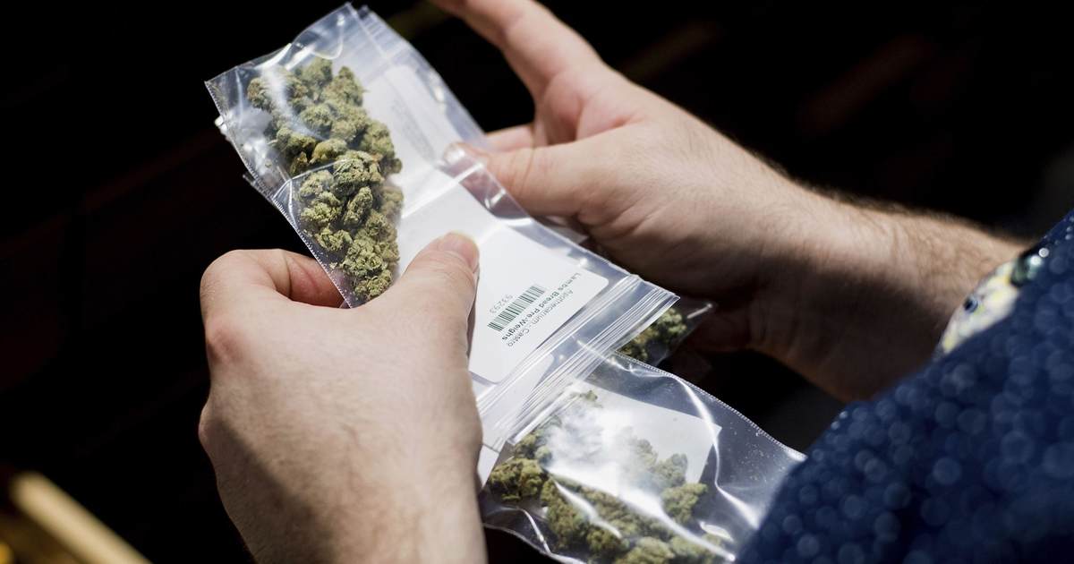DOJ asks SCOTUS to uphold gun ban for cannabis users - Vimarsana News
