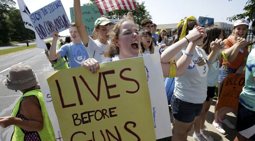 Gun Control Activists Turning To States To Advance Their Agenda