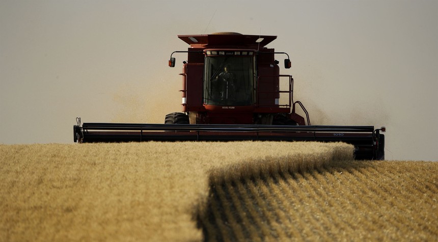 Wheat prices are up but American farmers can't cash in