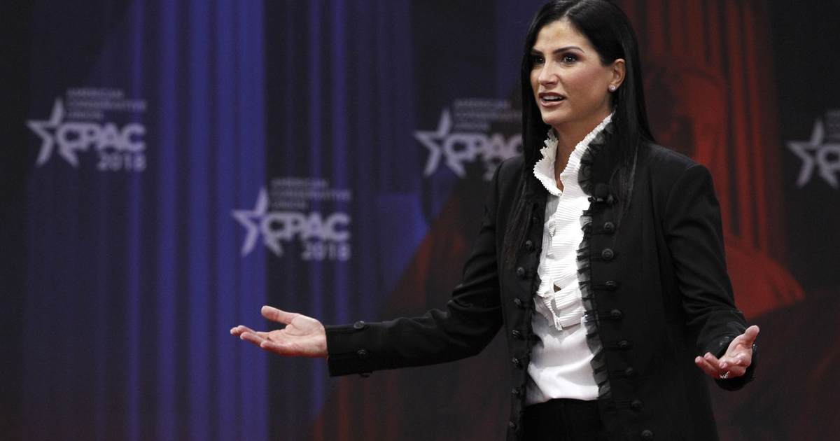 Anti-Gun 'Journalist' Mansplains How Abused Women Should Simply 'Call the Police', Dana Loesch Shreds Him - Vimarsana News