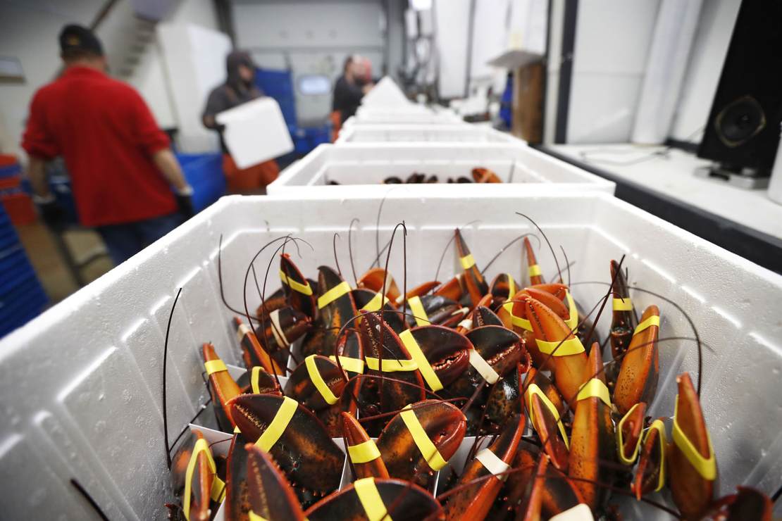 Hey, about those 200 live lobsters for the state dinner… – HotAir