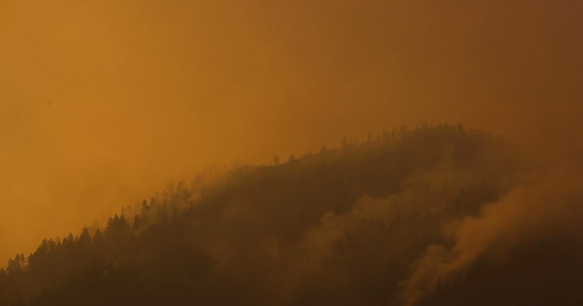A Canadian Firefighter Sheds Light on the Smoke in the East - Vimarsana News