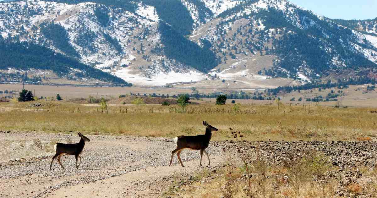 Rocky Mountain high: CO teachers union instructing members to destroy evidence - Vimarsana News