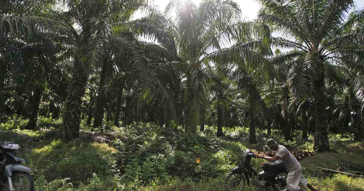 Global trade partners want EU to mind their own Ps and Qs - Vimarsana News