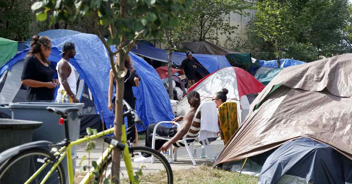 Family of Homeless Woman Killed by Mower in Modesto, Calf., Park Seeks Justice - Vimarsana News