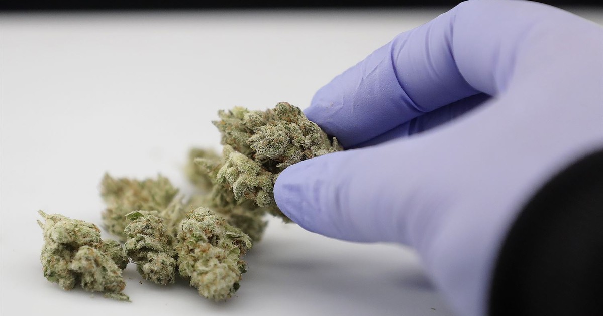 New Lawsuit Challenges Gun Ban for Medical Marijuana Users - Vimarsana News