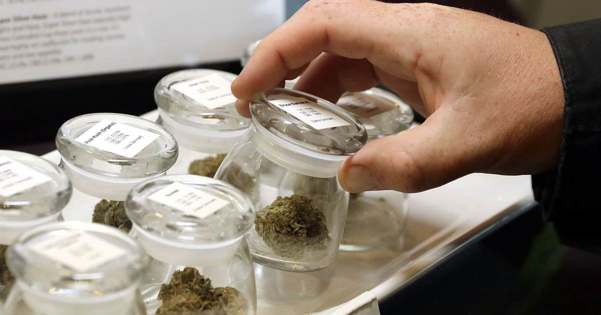 2A Activists Plan Colorado Referendum on Guns and Marijuana - Vimarsana News