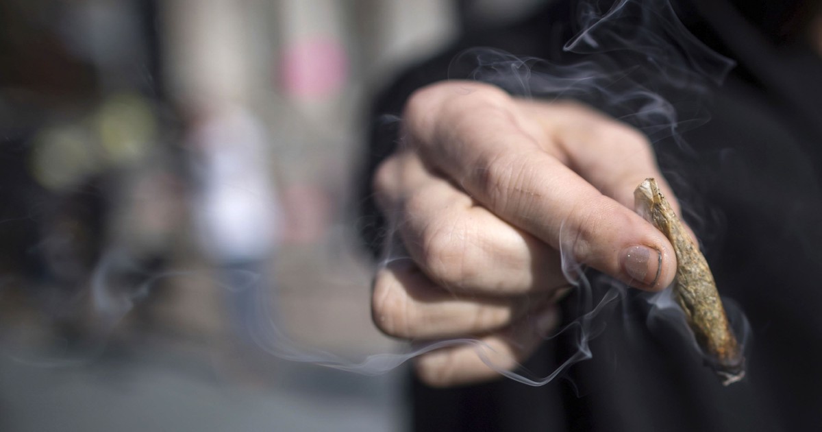 Jersey City Mayor Sues State Over Policy Allowing Cops to Use Cannabis - Vimarsana News