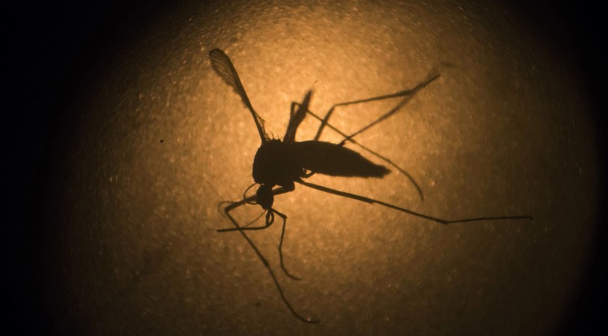 Techno-Hell: FDA Approves the Release of 2.4 Million Bioengineered Designer Mosquitoes in Florida, California