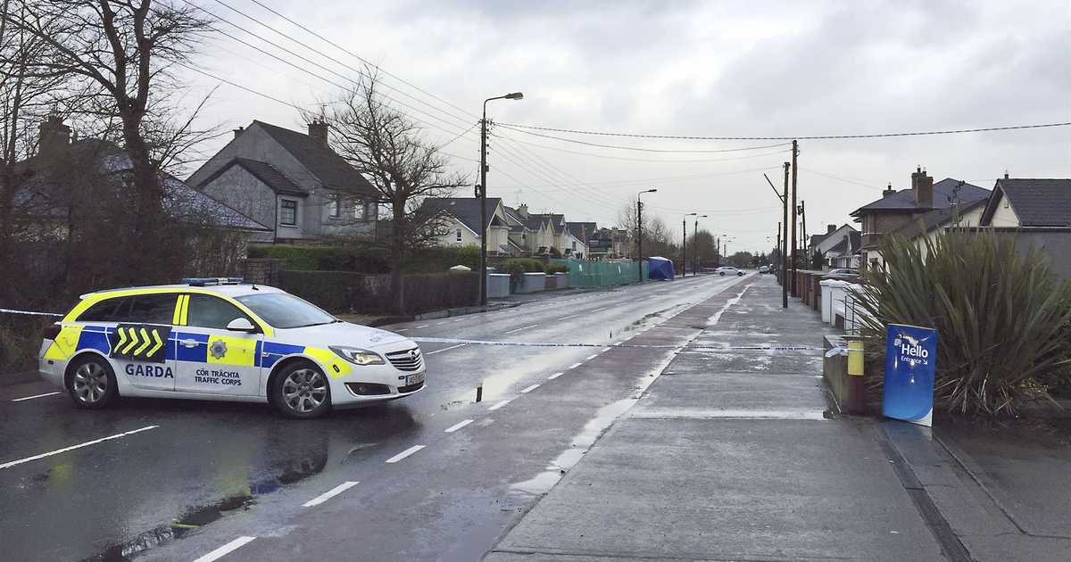 Police in Ireland have big day with confiscation and arrests - Vimarsana News
