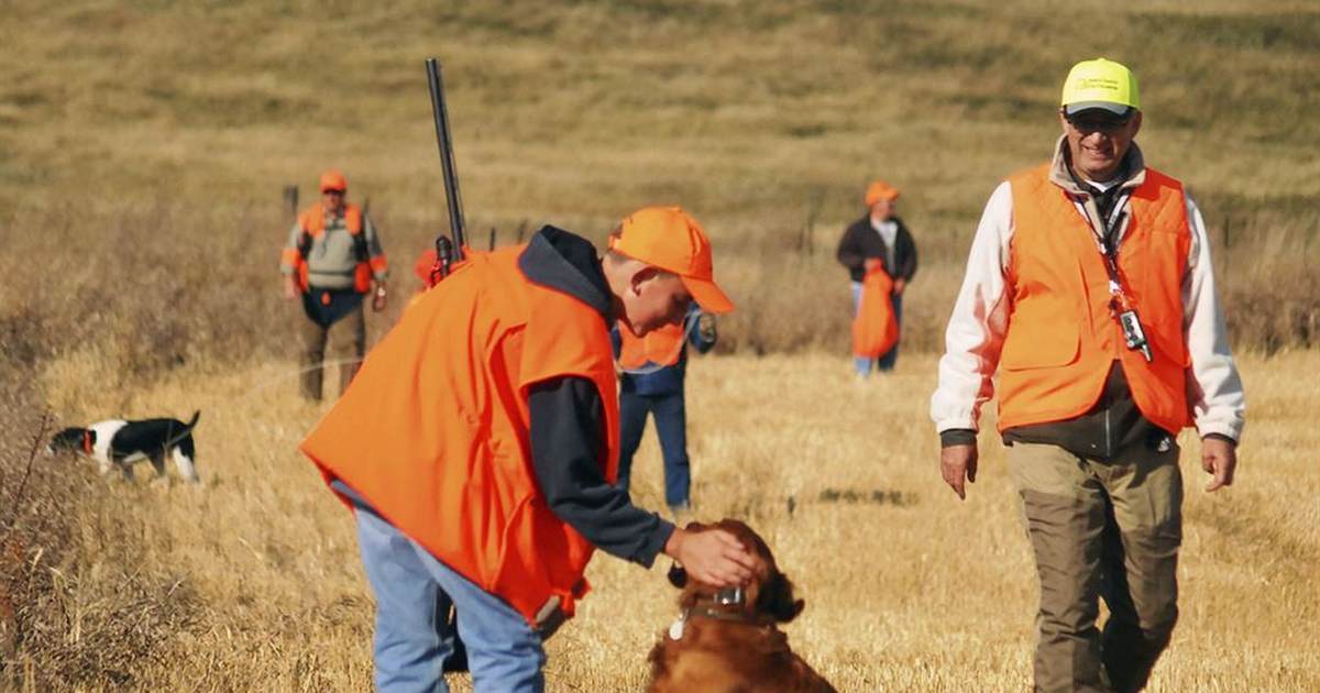 NY Times columnist: We're not coming for your deer rifles or bird guns - Vimarsana News