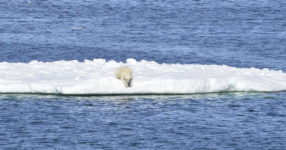 More Dubious Claims About Climate Change Fueled By Stories – PJ Media - Vimarsana News