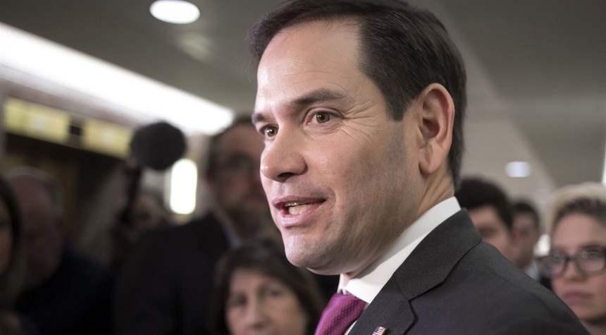 Marco Rubio's Likely Opponent Rakes in Big Liberal Money