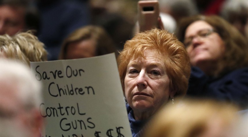 Karen Power! Democrats eyeing suburban women to launch new gun control effort