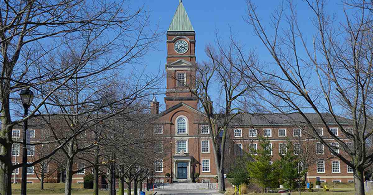 The Babylon Bee Publishes a Hysterical Spoof of a College English Course Description. Oh, Wait! - Vimarsana News