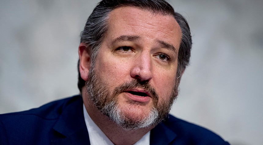 Boom: Ted Cruz Makes Critical Media-Buried Point About 'Black Lives Matter' During Hearing on Violent Protests
