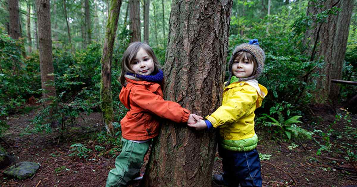 New York to Plant a Lot of Trees - Vimarsana News