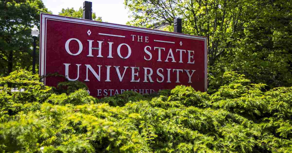 Ohio State Student Government Rep Says Whites Are Taught They're Superior, but Black People Actually Are - Vimarsana News