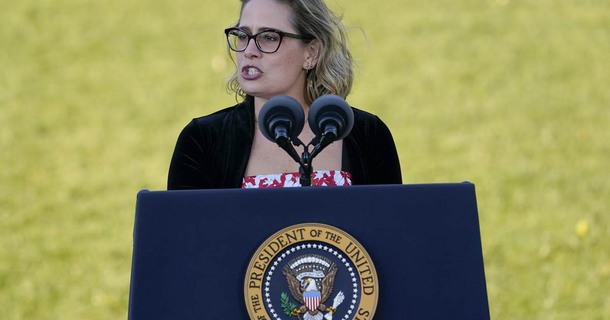 Former Labor Sec Robert Reich Says Dem Senators Should Have Physically Attacked Sinema - Vimarsana News