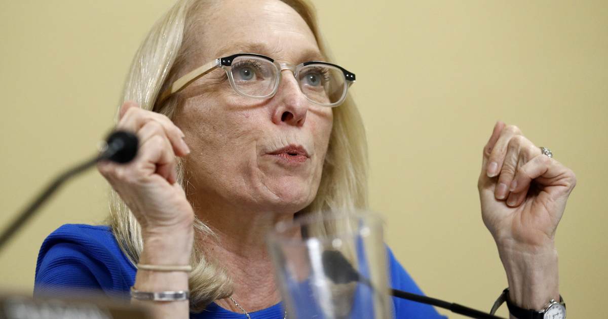 Carjacked congresswoman has a long history of embracing gun control - Vimarsana News