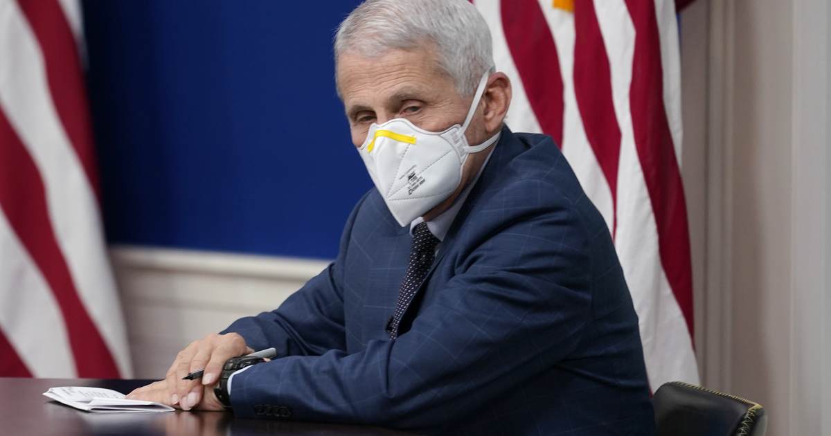 Fricasseed Fauci: Megan Kelly Gives a Master Class in Cooking as She Deep-Fries 'Dr. Integrity' – RedState - Vimarsana News
