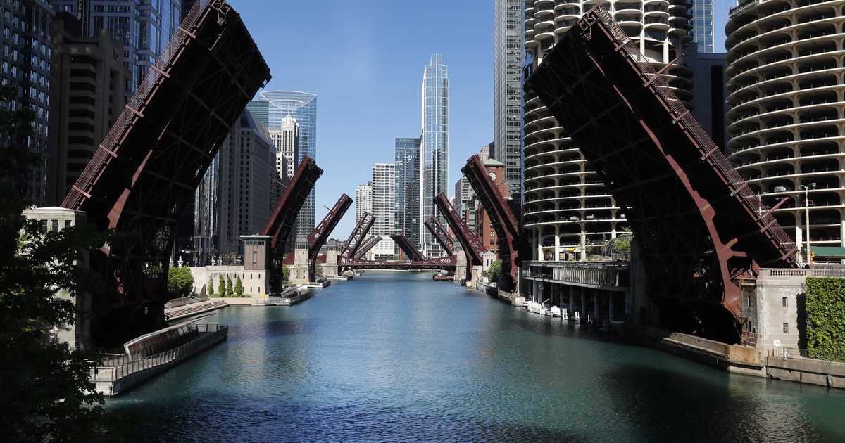 The Purge: Chicago Style - Vimarsana News