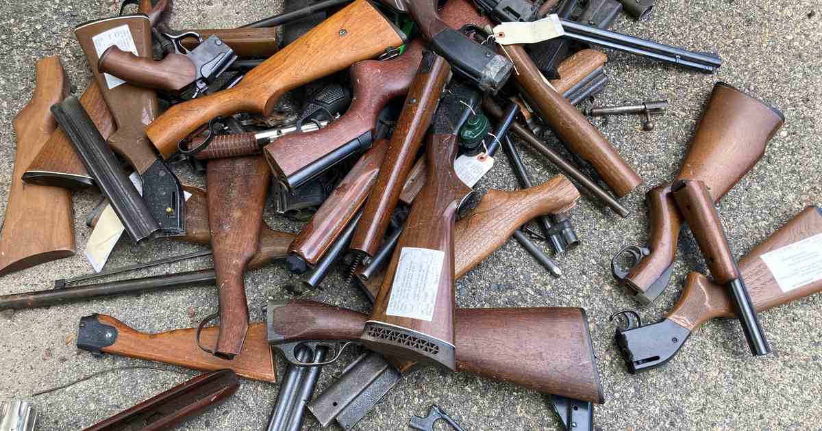 Minnesota 2A group warns new bill "essentially repeals the Second Amendment" - Vimarsana News