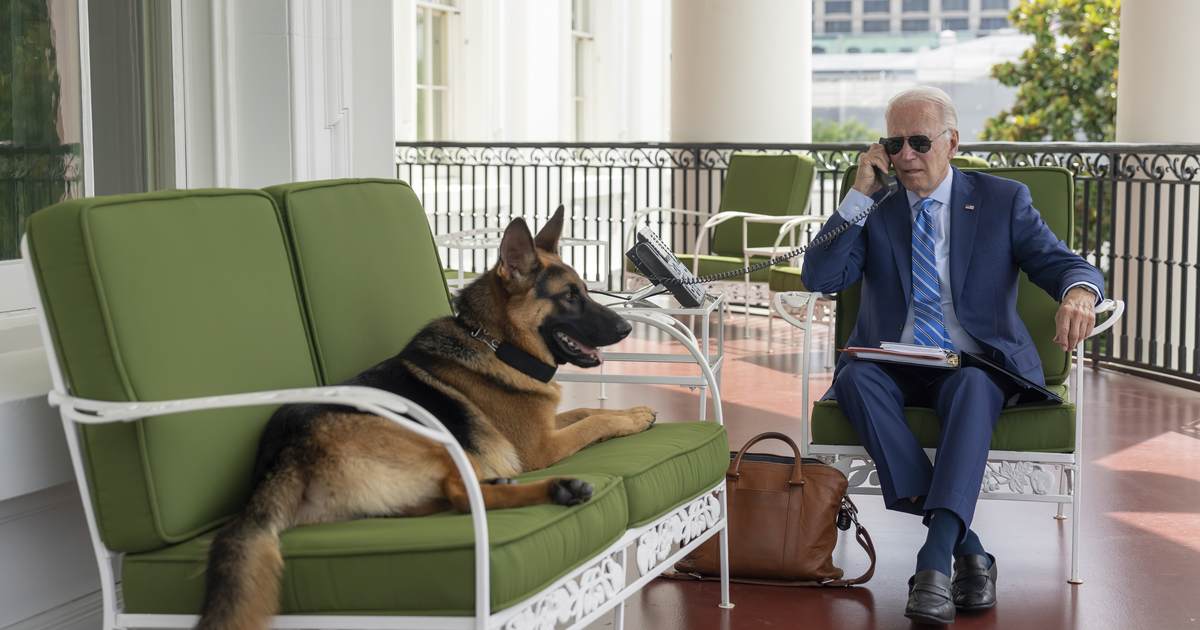 Joe Biden's Handlers Create a Diplomat to Plants (Seriously) and Their Choice Is Even More Infuriating – RedState - Vimarsana News
