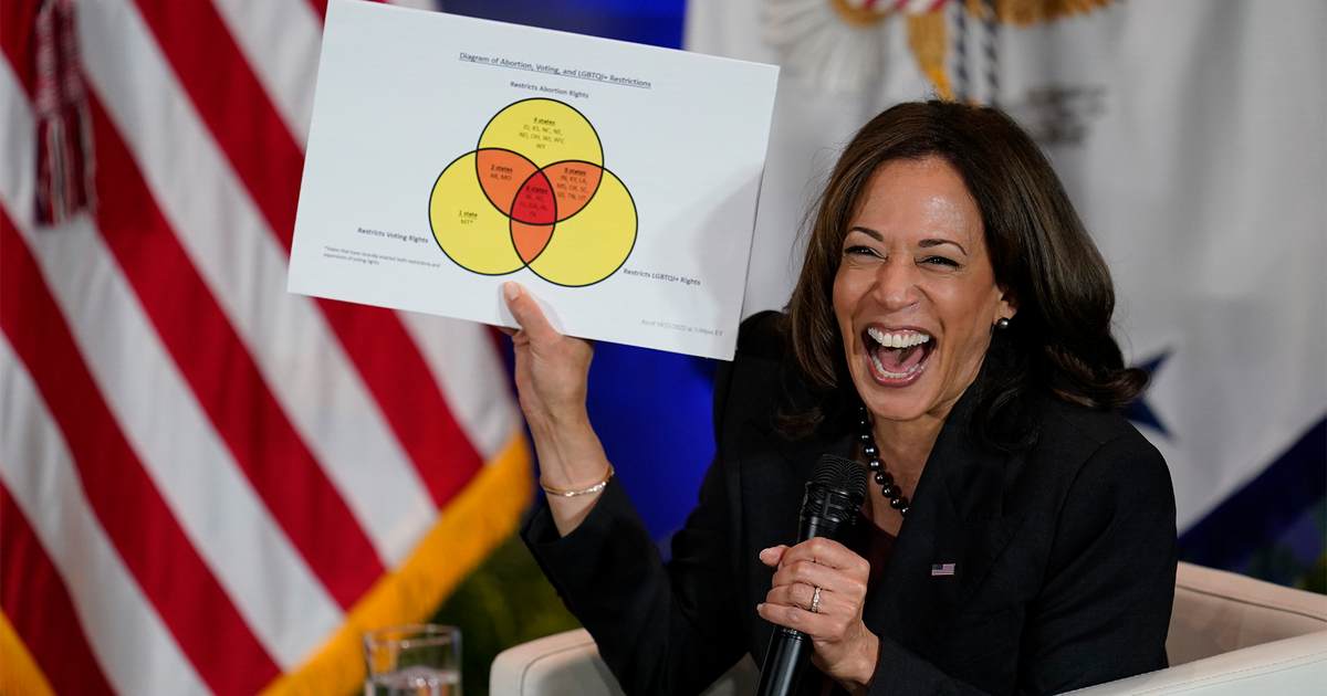 Could Cackling Kamala Be Replaced on the 2024 Democrat Ticket? - Vimarsana News