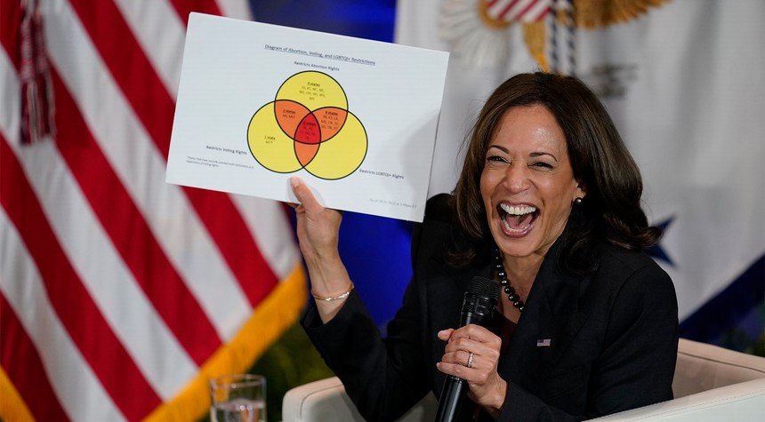 More Dems Line up to Throw Kamala Under the Bus