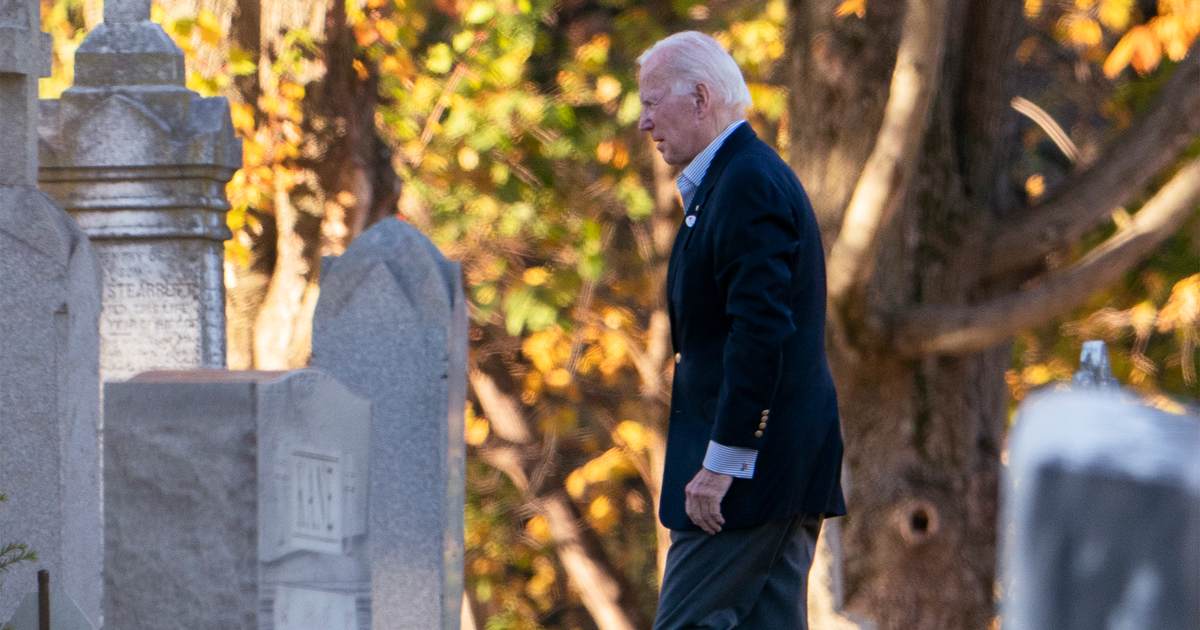 As the Dark Brandon signal beams into the night sky, Biden readies for battle - Vimarsana News