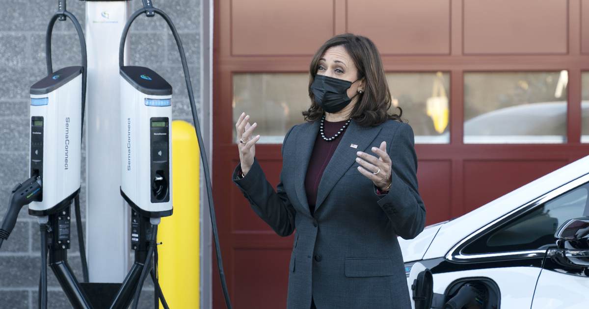Things Get More Awkward at Kamala HQ After More Damaging Info on New Comms Director Surfaces - Vimarsana News