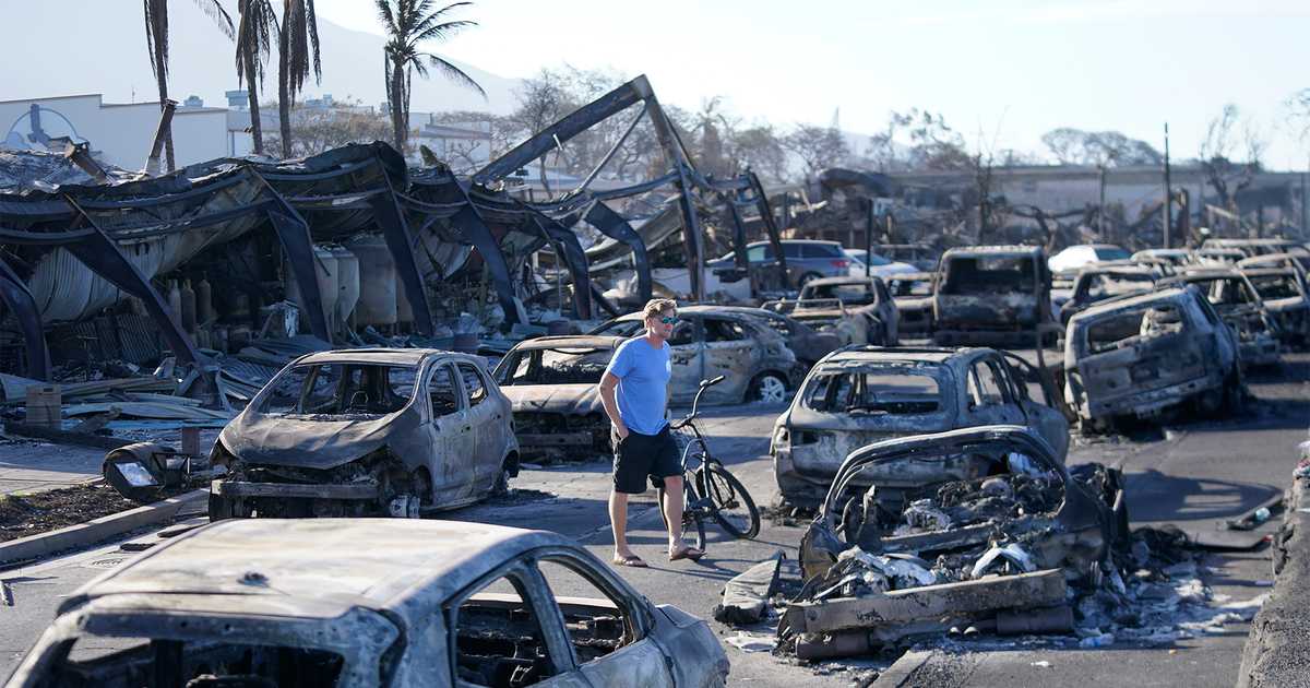 Bad Government Caused the Maui Wildfires, Not Climate Change - Vimarsana News
