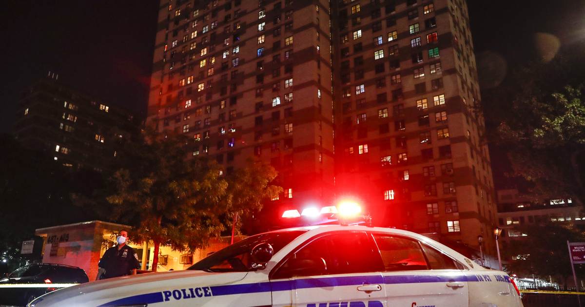 Op-Ed Blasting Pro-Criminal Efforts Only Tells Part of Risk - Vimarsana News