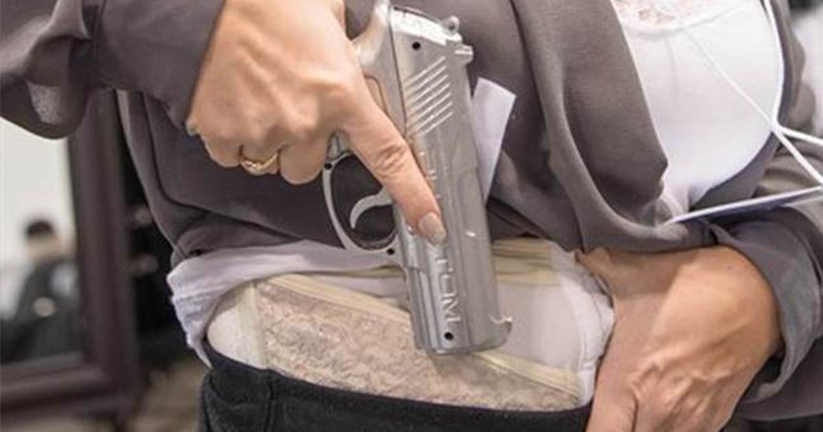 Is New York pricing citizens out of their Second Amendment rights? - Vimarsana News
