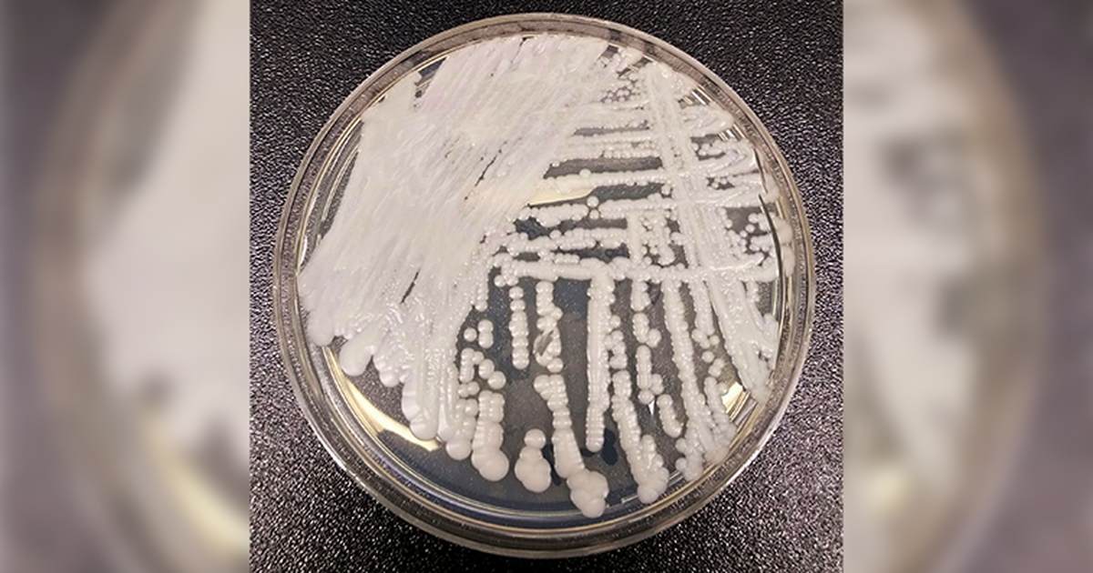 China, Biology, Illegal Labs and the Coming Conflict With the US - Vimarsana News