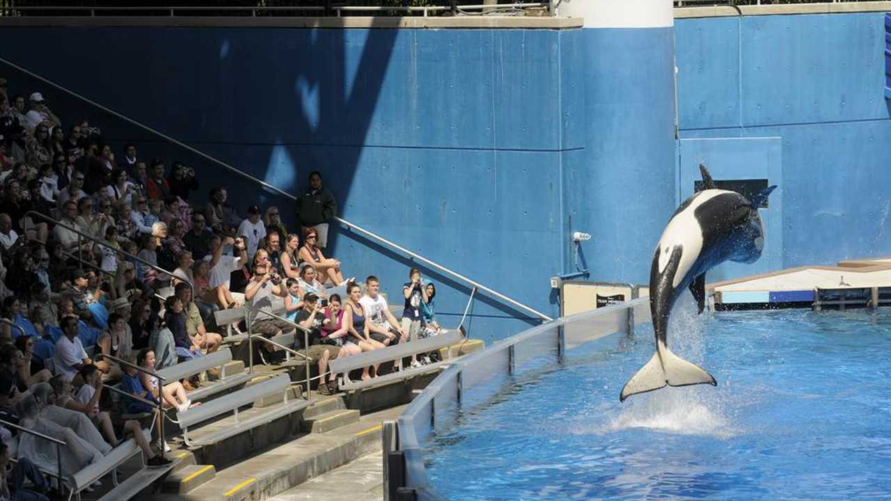 SeaWorld to Cut Hours to Avoid Obamacare Mandate