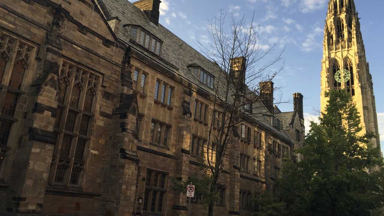 Psychiatrist Told Yale Audience About Shooting White People in Head, Cutting White People Out of Her Life - Vimarsana News