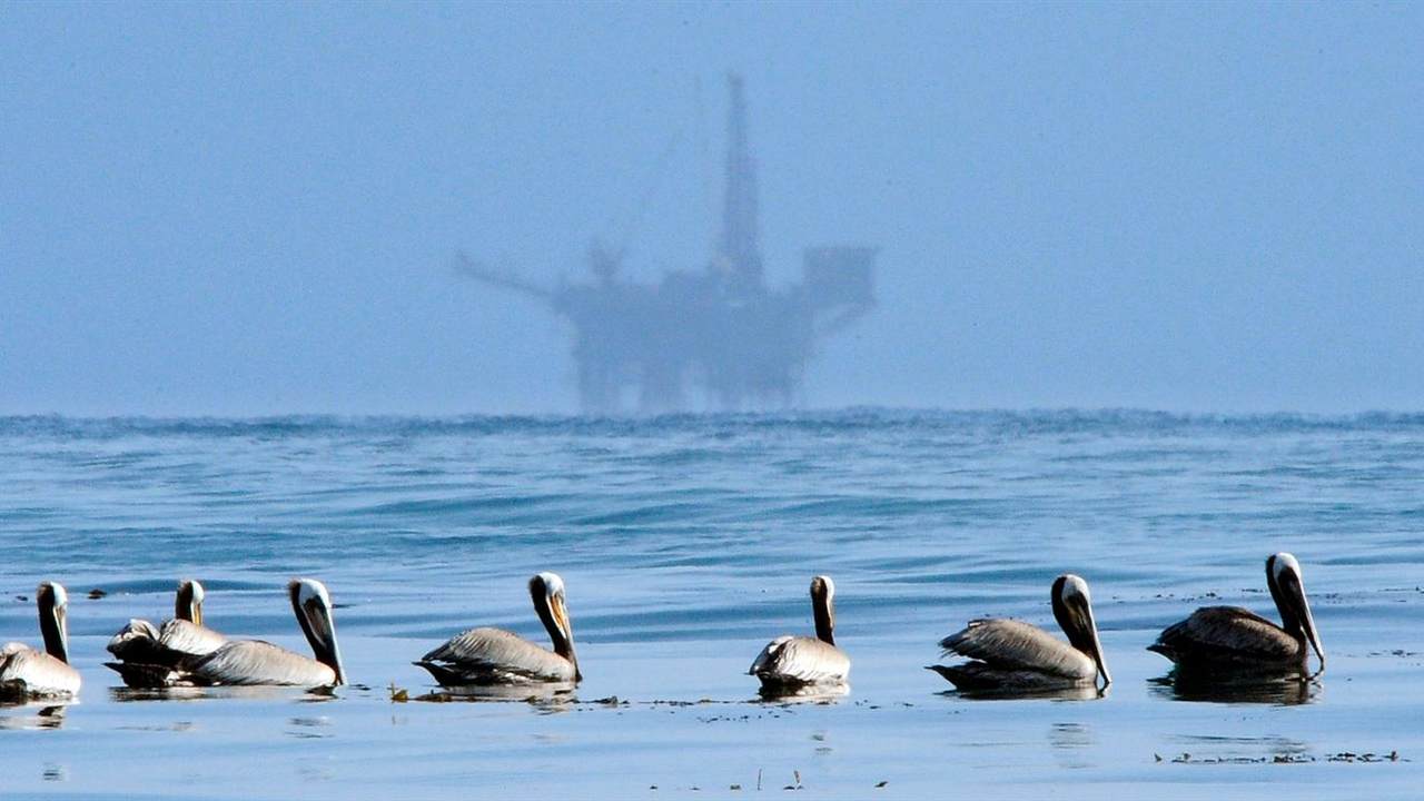 Drill, Baby, Drill—Especially Offshore - Vimarsana News