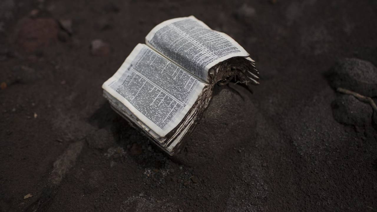 A Quick, Compelling Bible Study Vol. 58 – Rabbi Gamaliel, the Pharisee Who Spoke Truth About Jesus - Vimarsana News