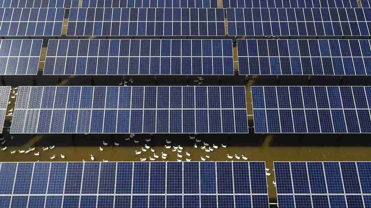 Blackouts Occur When Green Energy Fails - Vimarsana News