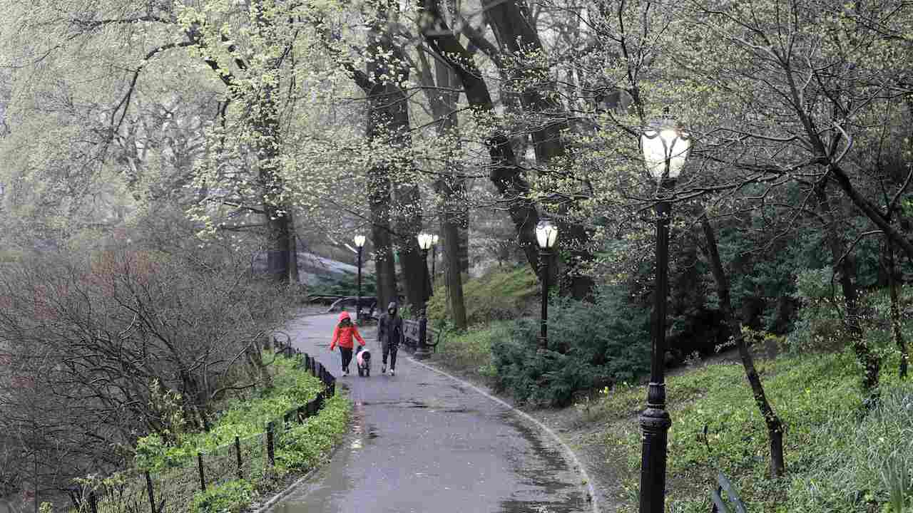 A Different Park - Vimarsana News