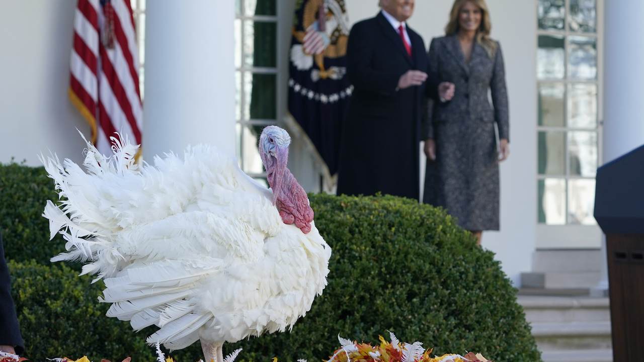 The 400th Anniversary of Thanksgiving and What it Means - Vimarsana News