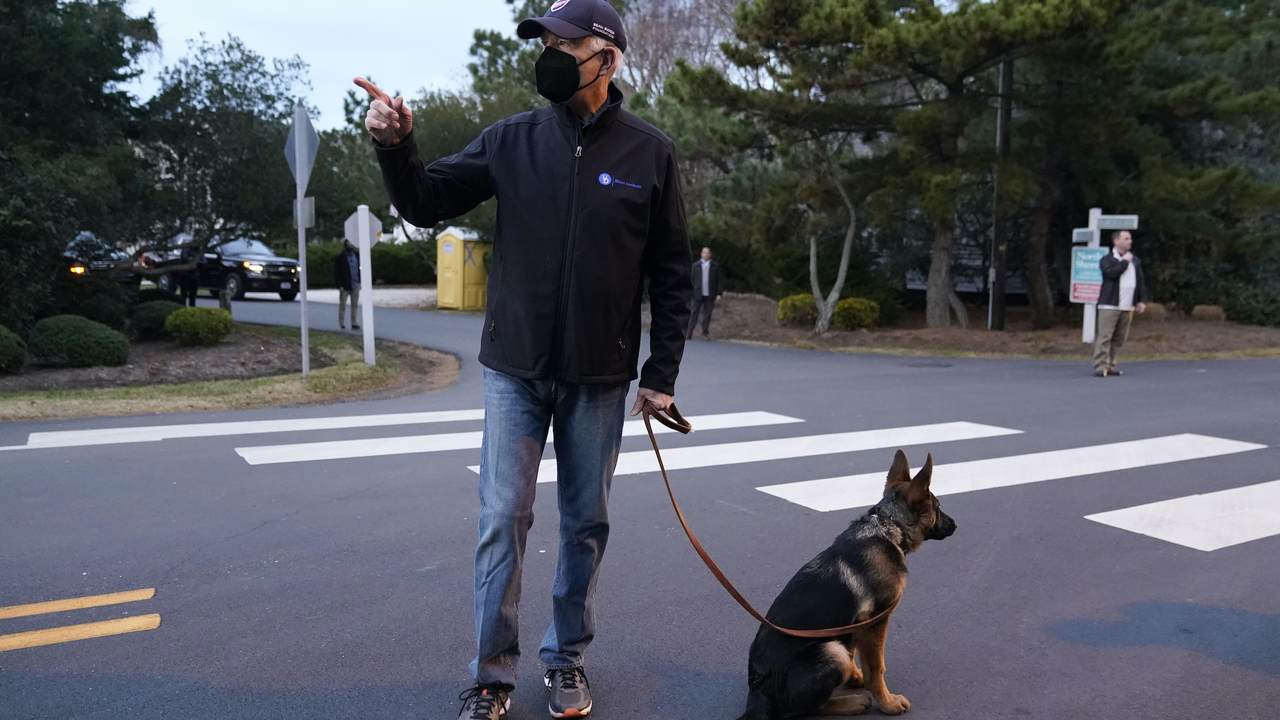 Open-Borders Biden Moves Ahead With Fence Around His Delaware Beach House - Vimarsana News