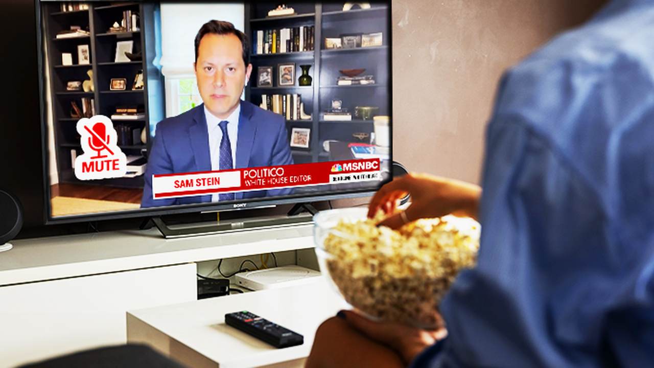 Sam Stein Baffled Over the Cause of Disney Controversy While Employing the Cause - Vimarsana News