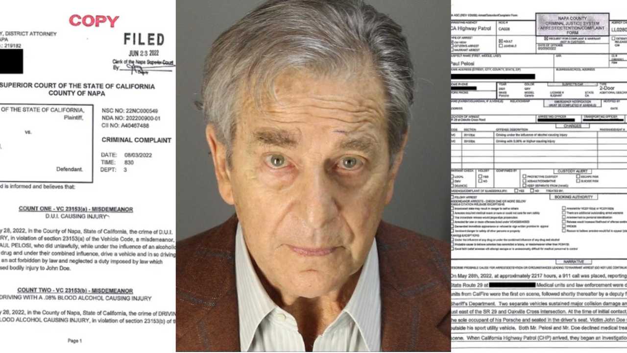 Paul Pelosi Pleads Guilty to DUI Charge. Here's His Punishment.