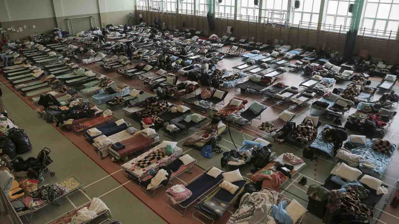 What One American Small Business Is Doing to Help Ukrainian Refugees - Vimarsana News